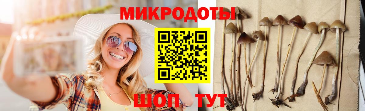 Спасск-Дальний  Псилоцибиновые грибы Psilocybine cubensis  что такое   Вход с VPN 